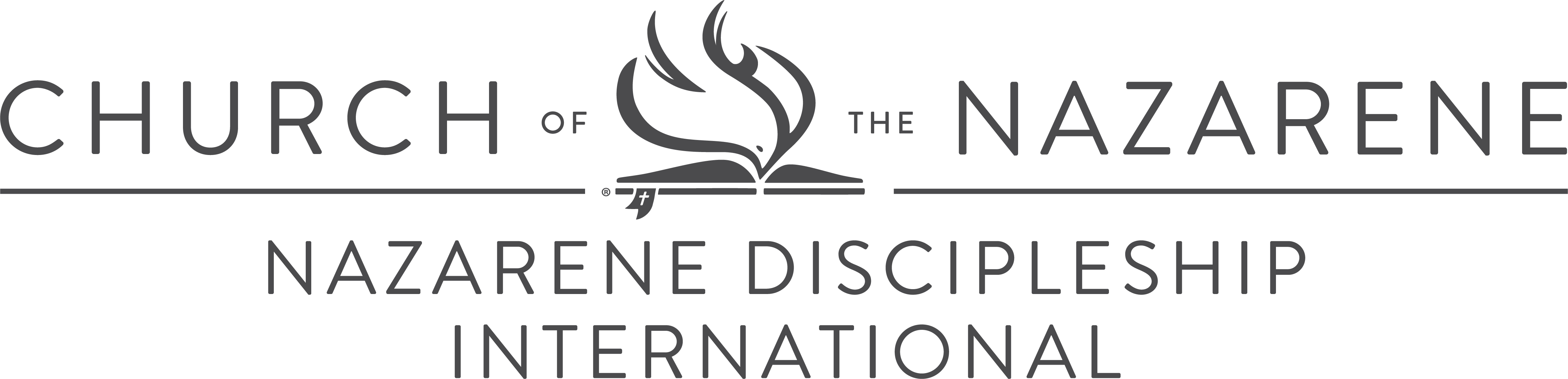 NDI Logo